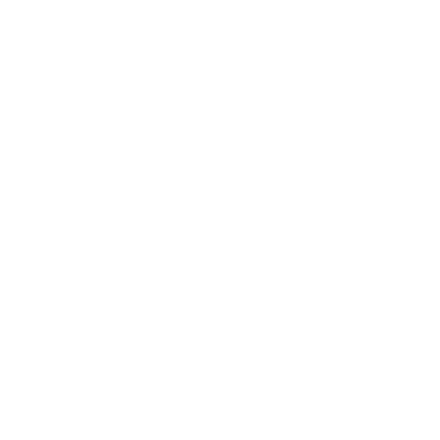 Bonsai Digital Development